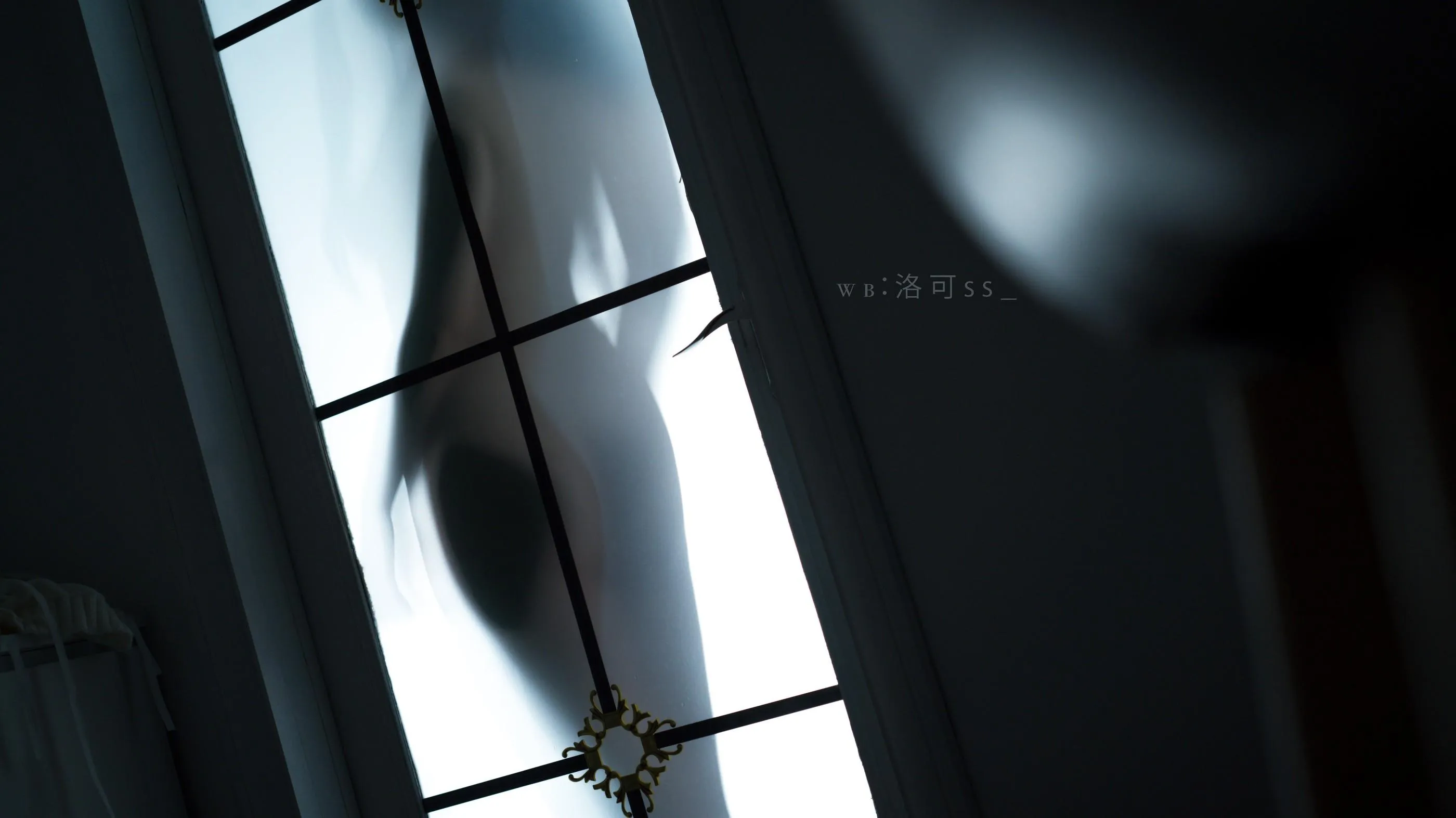 洛可ss – NO.03 光效黑吊带 [30P]插图1